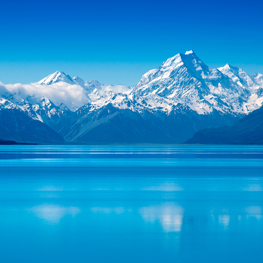 PAPEL MURAL - NATURA 24