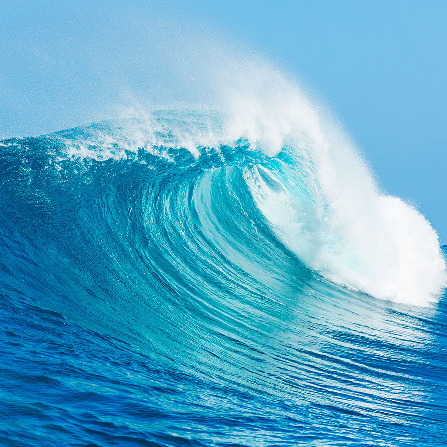 PAPEL MURAL - NATURA 25