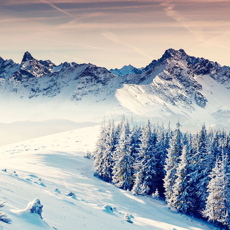 PAPEL MURAL - NATURA 28