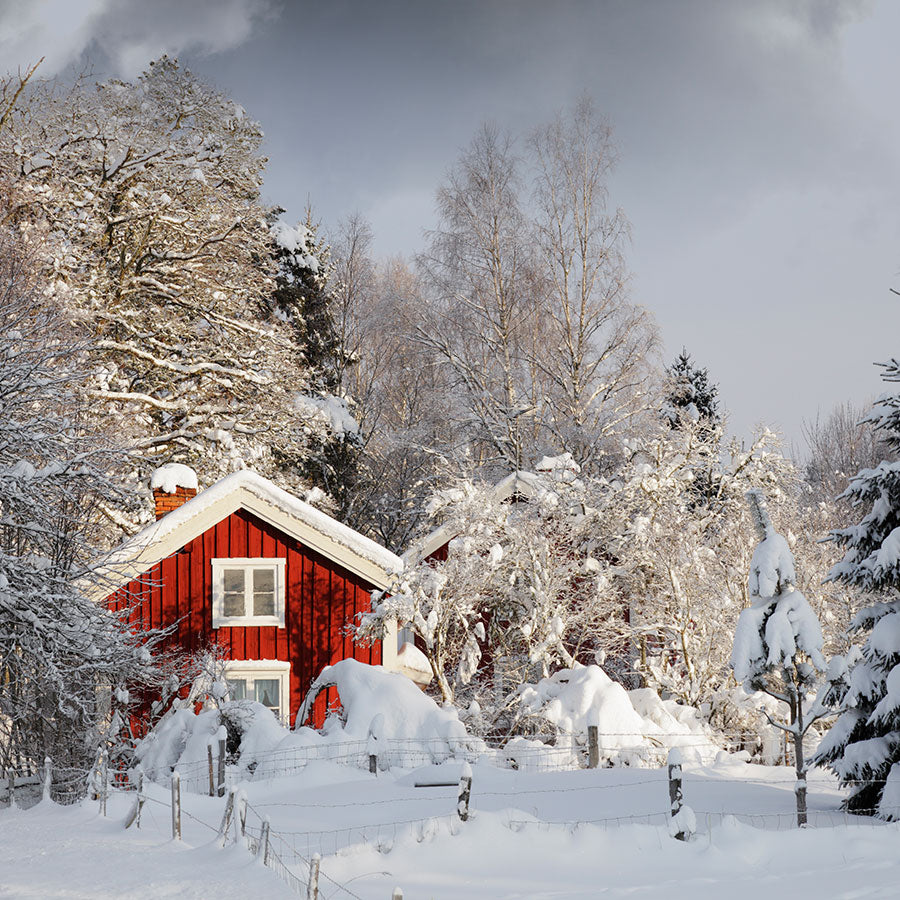 PAPEL MURAL - NATURA 29