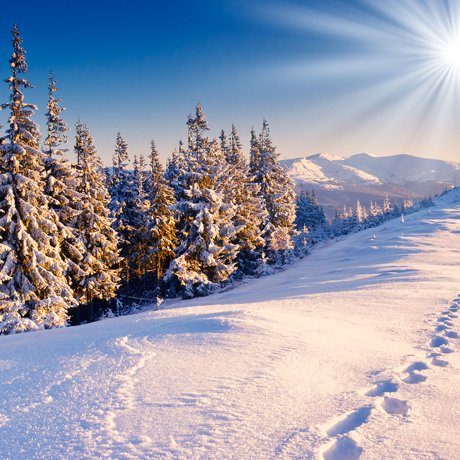 PAPEL MURAL - NATURA 30