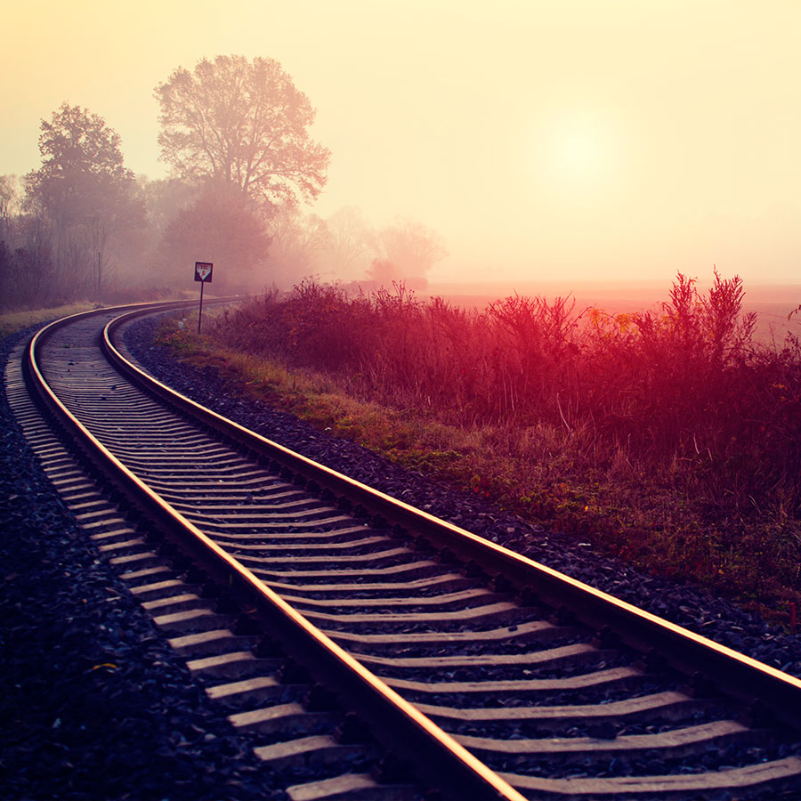 PAPEL MURAL - NATURA 34