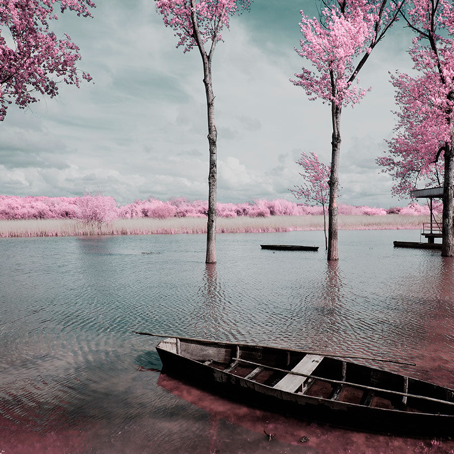 PAPEL MURAL - NATURA 37