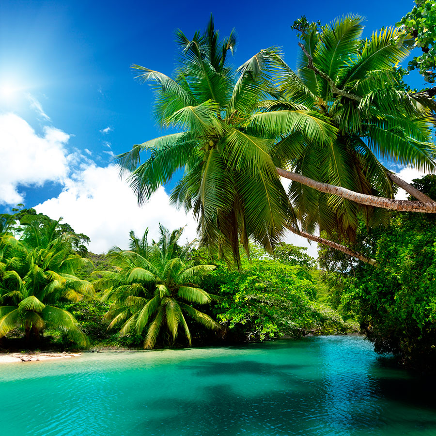 PAPEL MURAL - NATURA 41