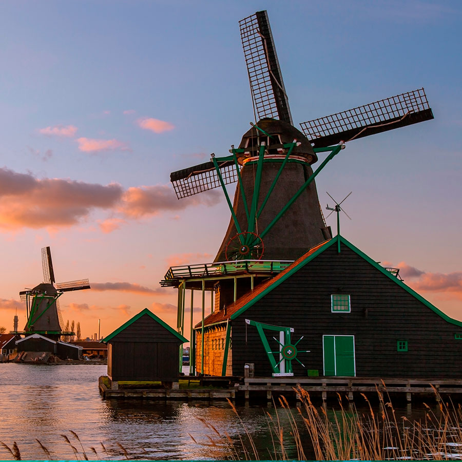 PAPEL MURAL - NATURA 42