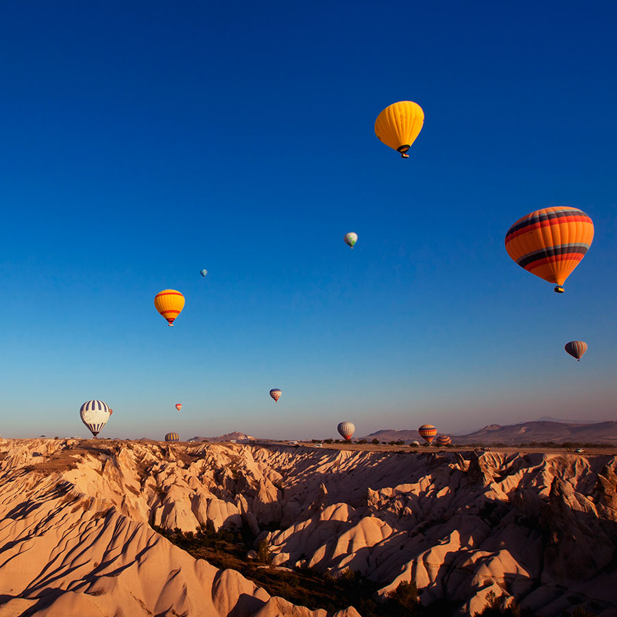 PAPEL MURAL - NATURA 43