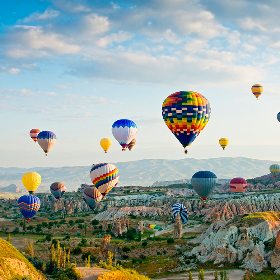 PAPEL MURAL - NATURA 44