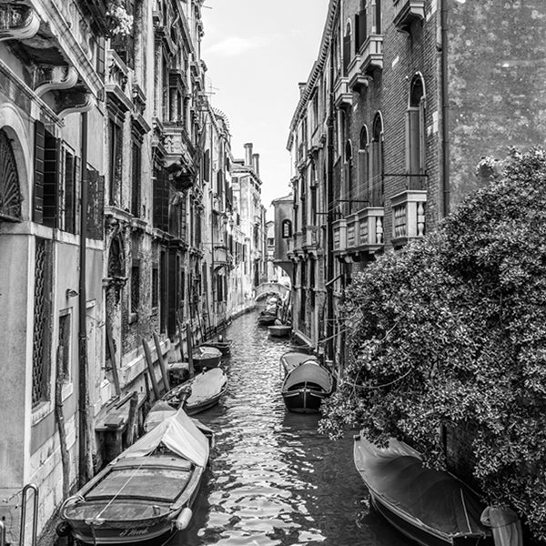 PAPEL MURAL - BLACK & WHITE 09