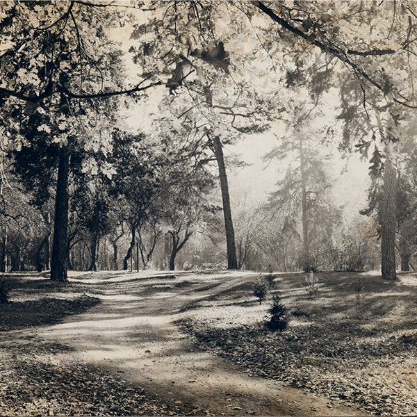 PAPEL MURAL - BLACK & WHITE 16