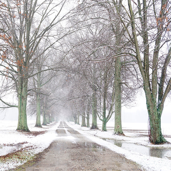 PAPEL MURAL - BLACK & WHITE 34