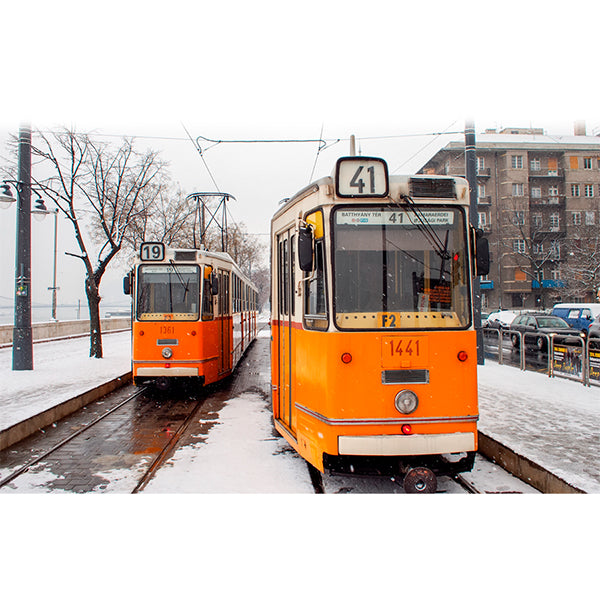 PAPEL MURAL - BLACK & WHITE 36