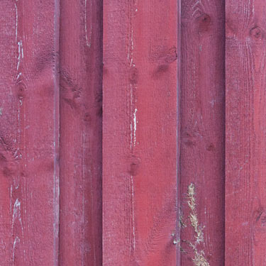 PAPEL MURAL - WOODS 21