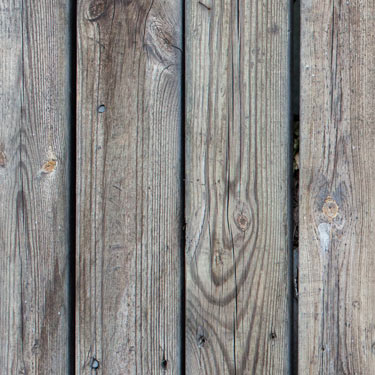 PAPEL MURAL - WOODS 22