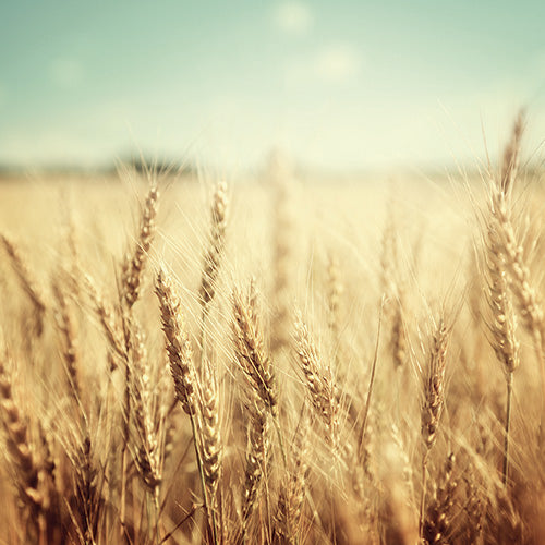 PAPEL MURAL - TEEN 2 23