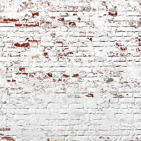 PAPEL MURAL - CONTRACT 03