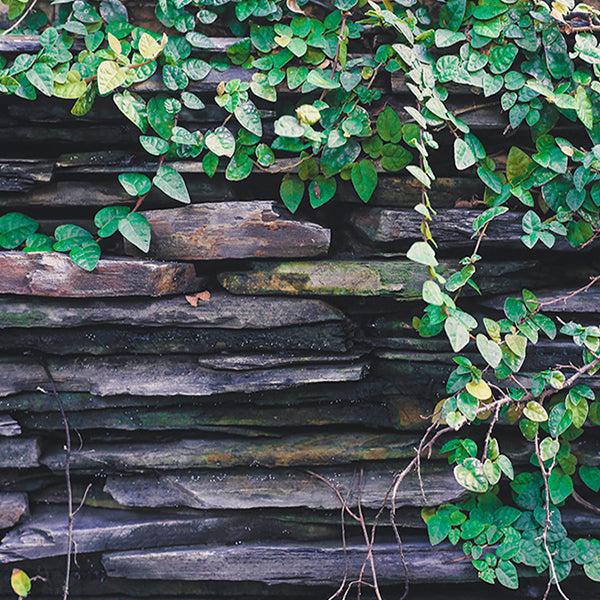 PAPEL MURAL - CONTRACT 11