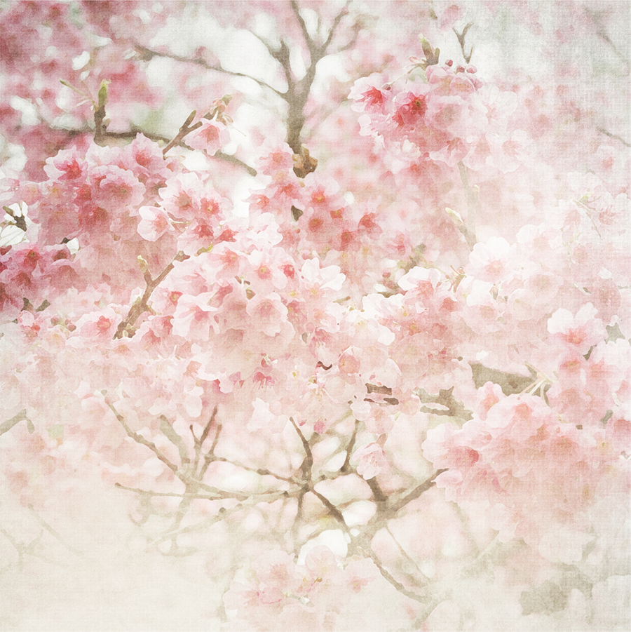 PAPEL MURAL - GARDEN 10