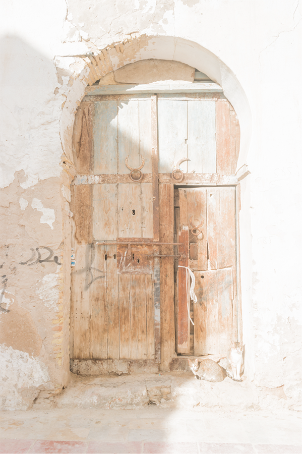 PAPEL MURAL - GARDEN 37