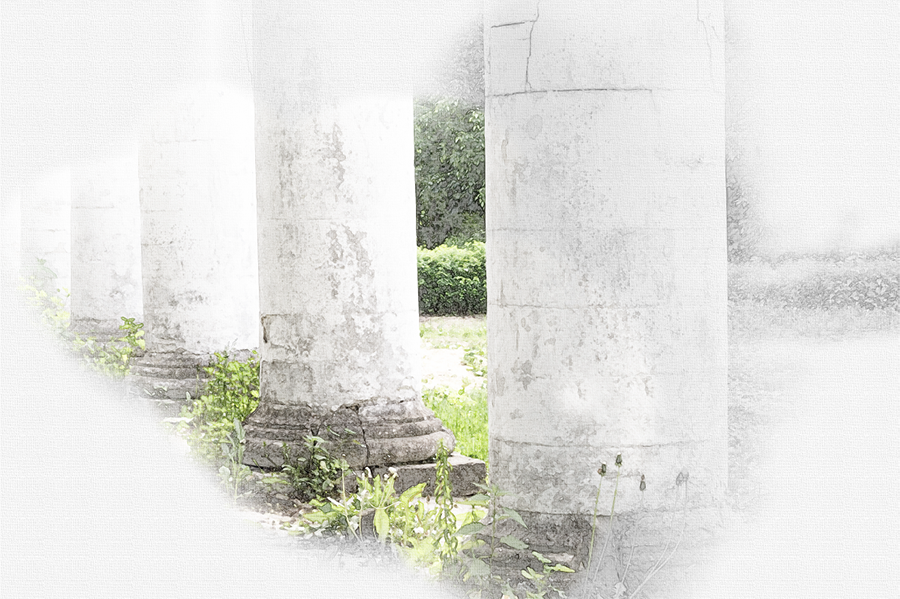 PAPEL MURAL - GARDEN 39