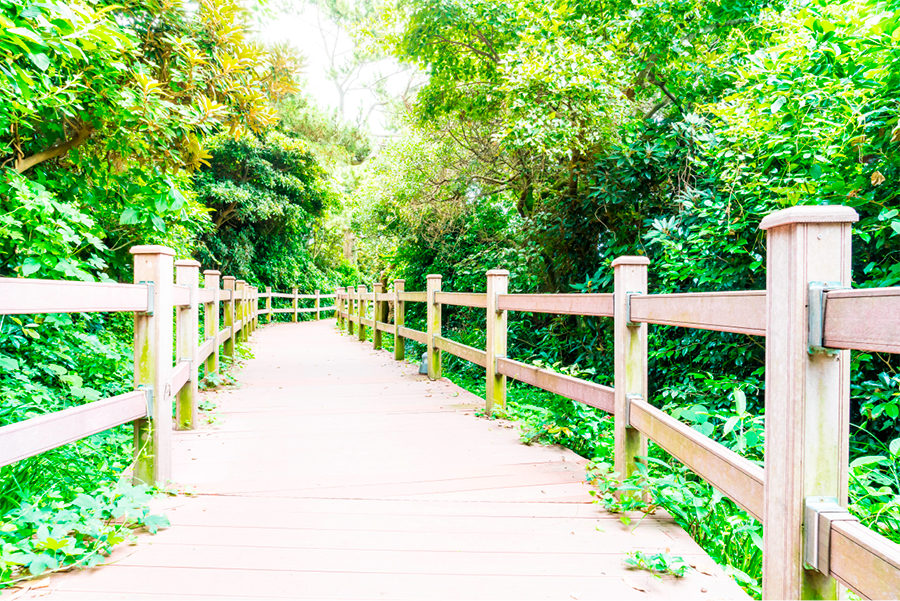 PAPEL MURAL - GARDEN 40