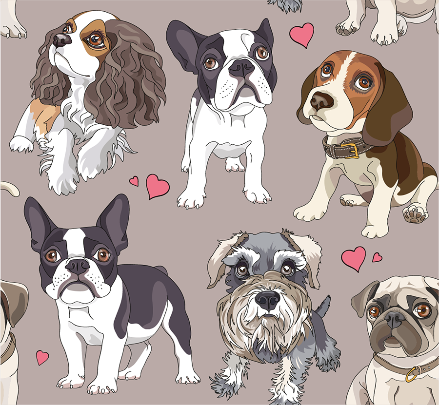 PAPEL MURAL - NEW TEEN 09