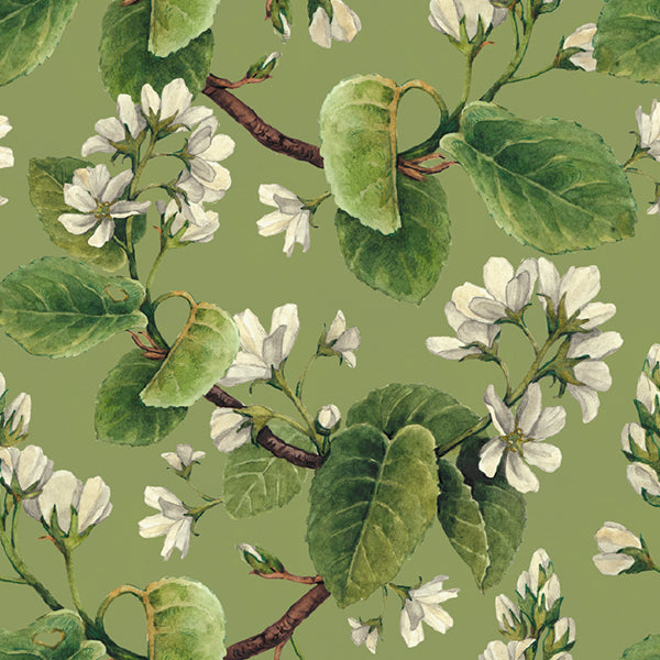 PAPEL MURAL - SPRING 07