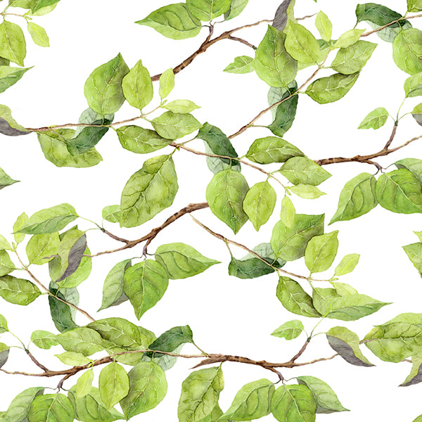 PAPEL MURAL - SPRING 08