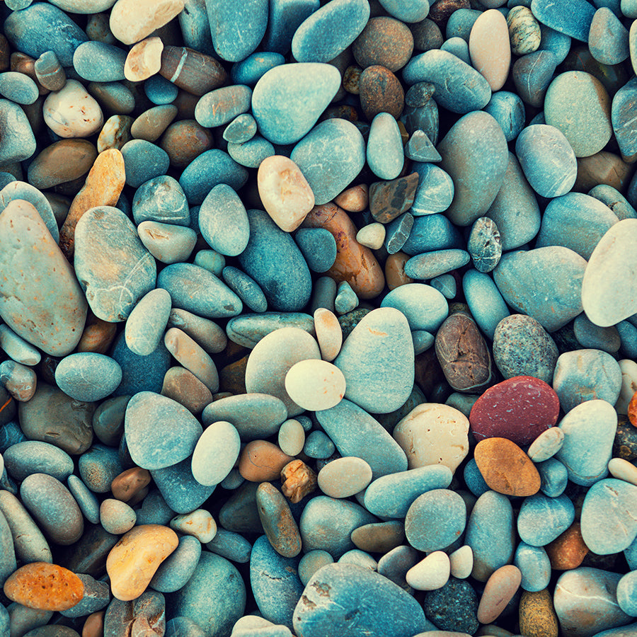 PAPEL MURAL - CONTRACT 13