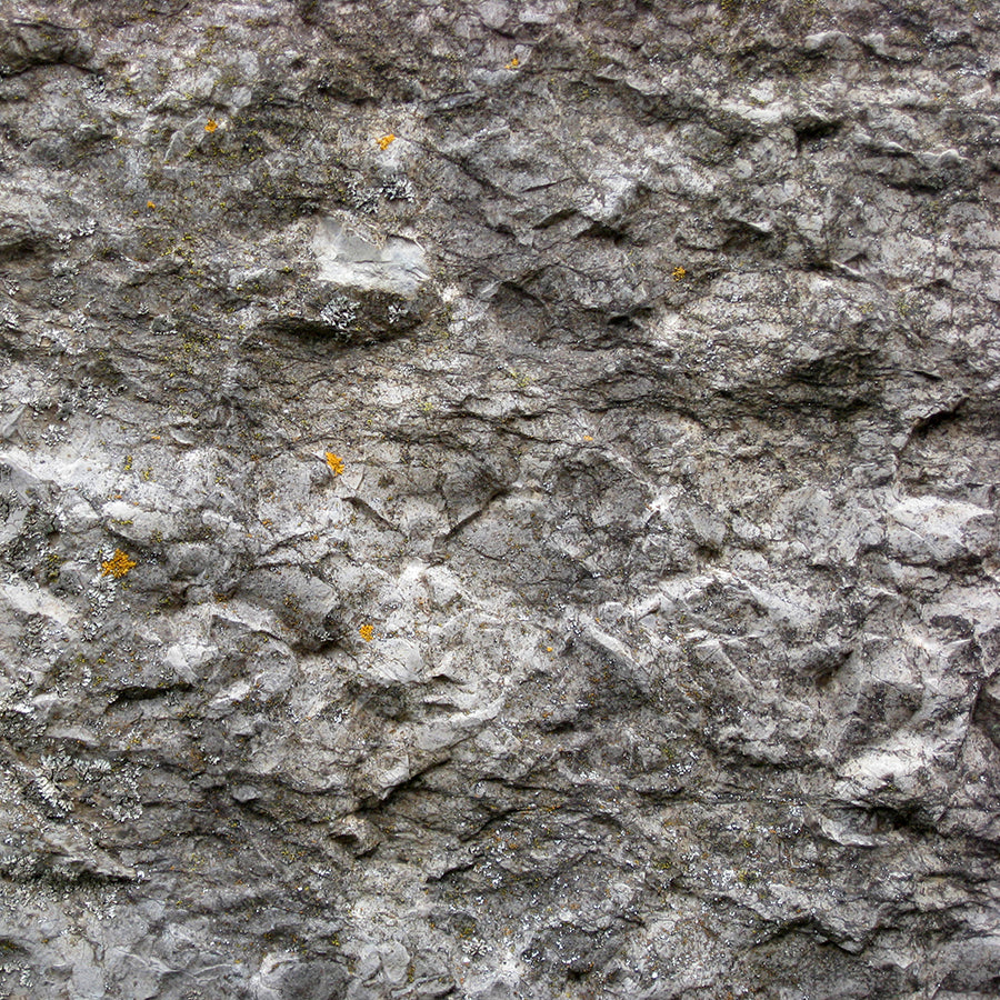 PAPEL MURAL - CONTRACT 21