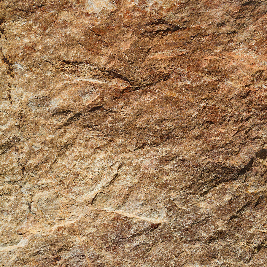 PAPEL MURAL - CONTRACT 22