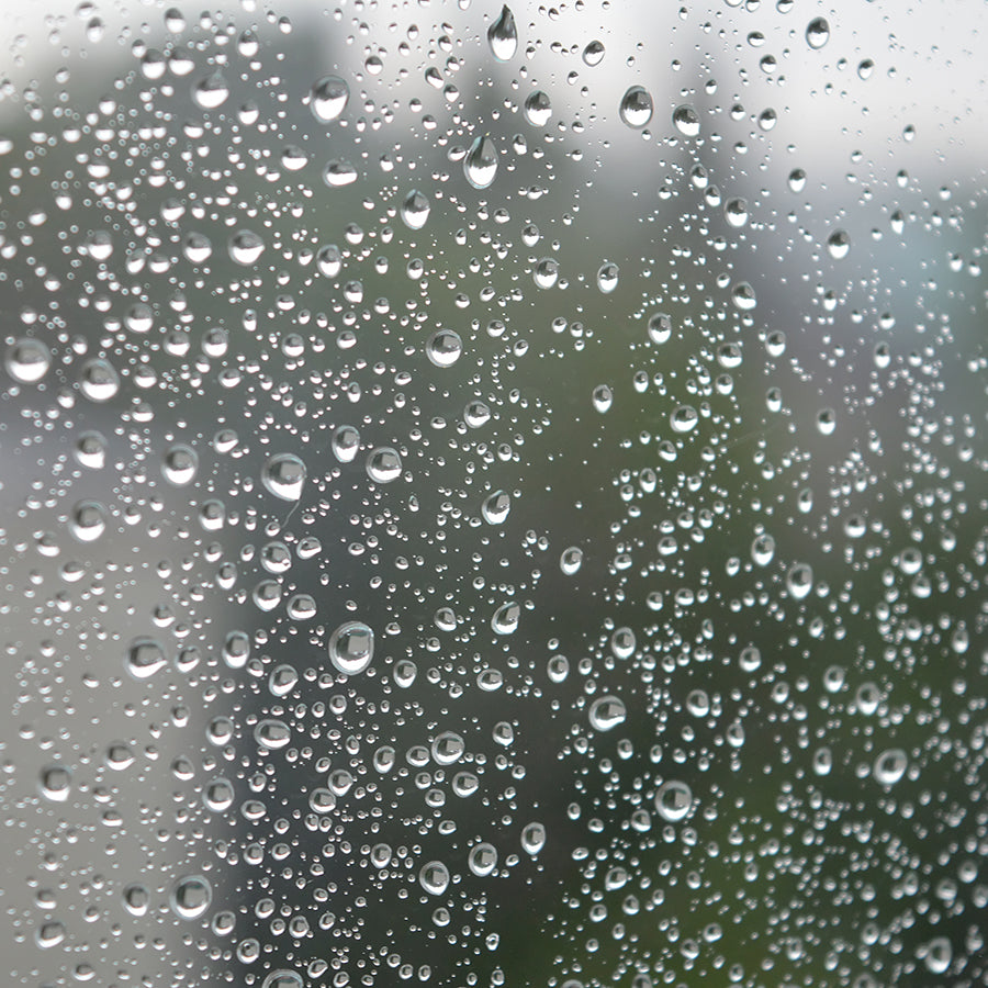 PAPEL MURAL - CONTRACT 28