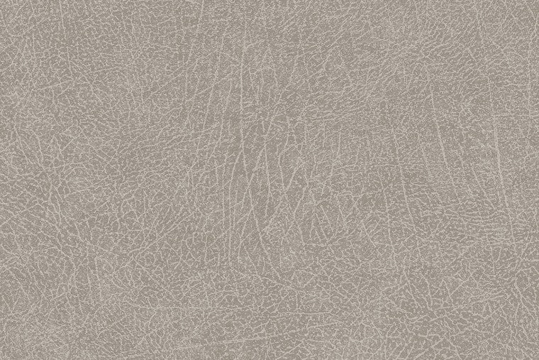Skin - 300512