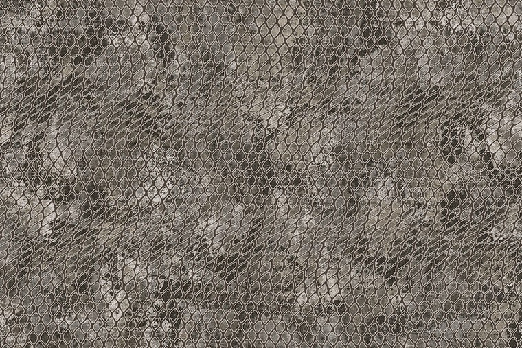 Skin - 300521
