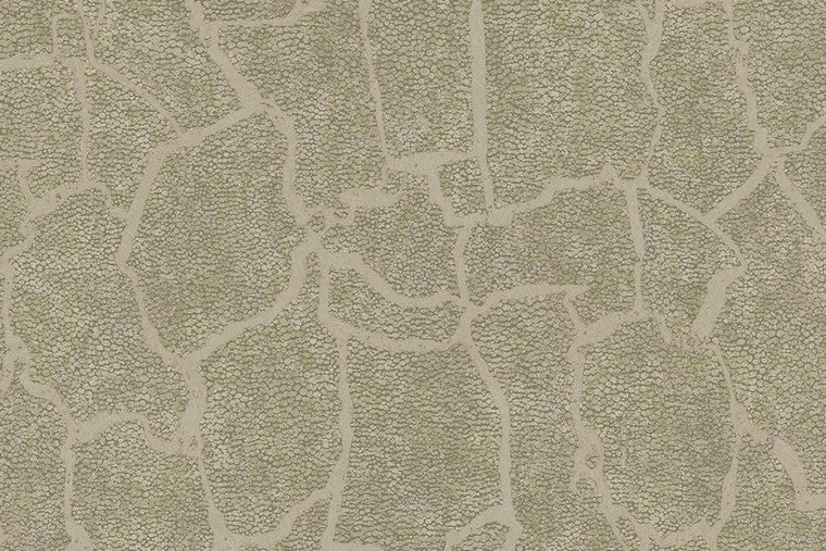 Papel Mural - Skin - 300532