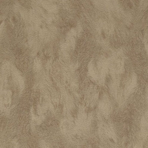 Skin - 300581