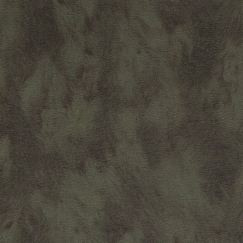 Skin - 300584