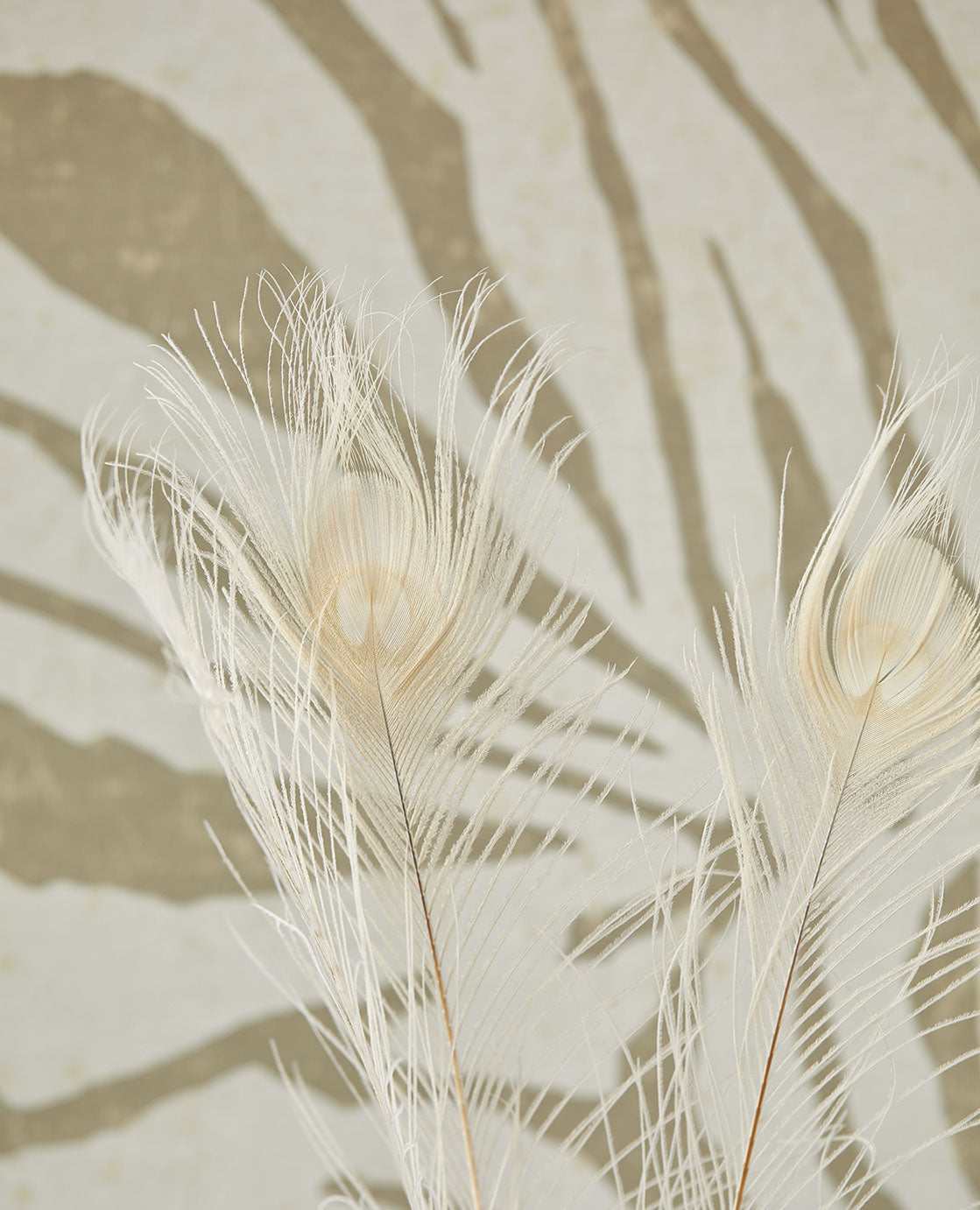 Papel Mural - Skin - 300600