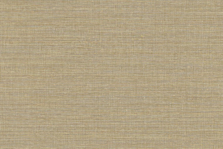 Papel Mural - Canvas - 313501