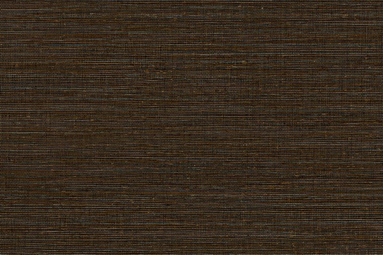 Papel Mural - Canvas - 313504