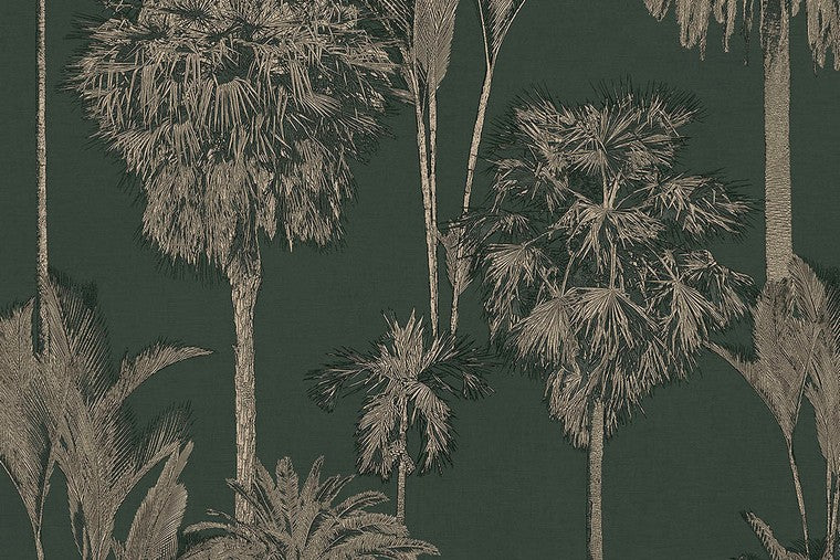 Papel Mural - Oasis - 317320