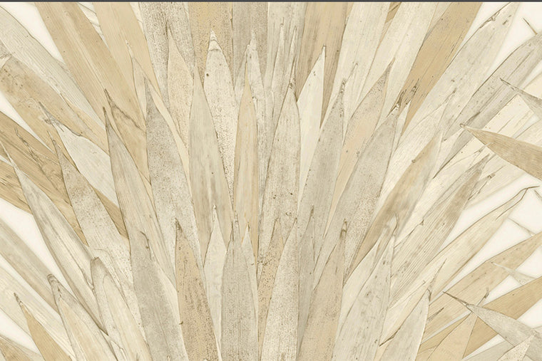 Papel Mural - Abanico - 34000