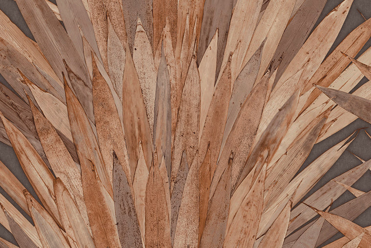 Papel Mural - Abanico - 34003