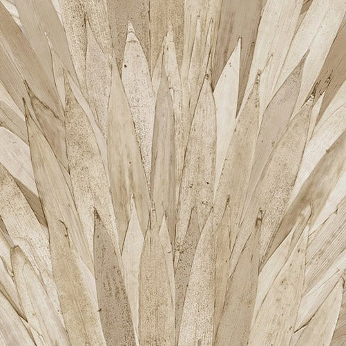 Papel Mural - Abanico - 34004