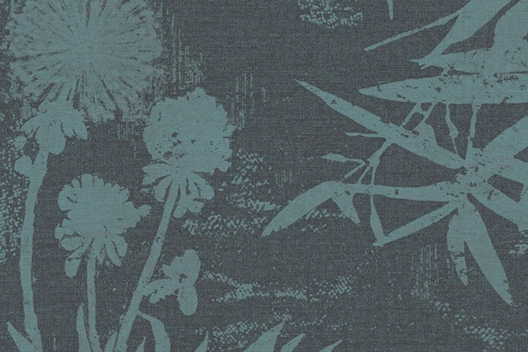 Lino - 379034