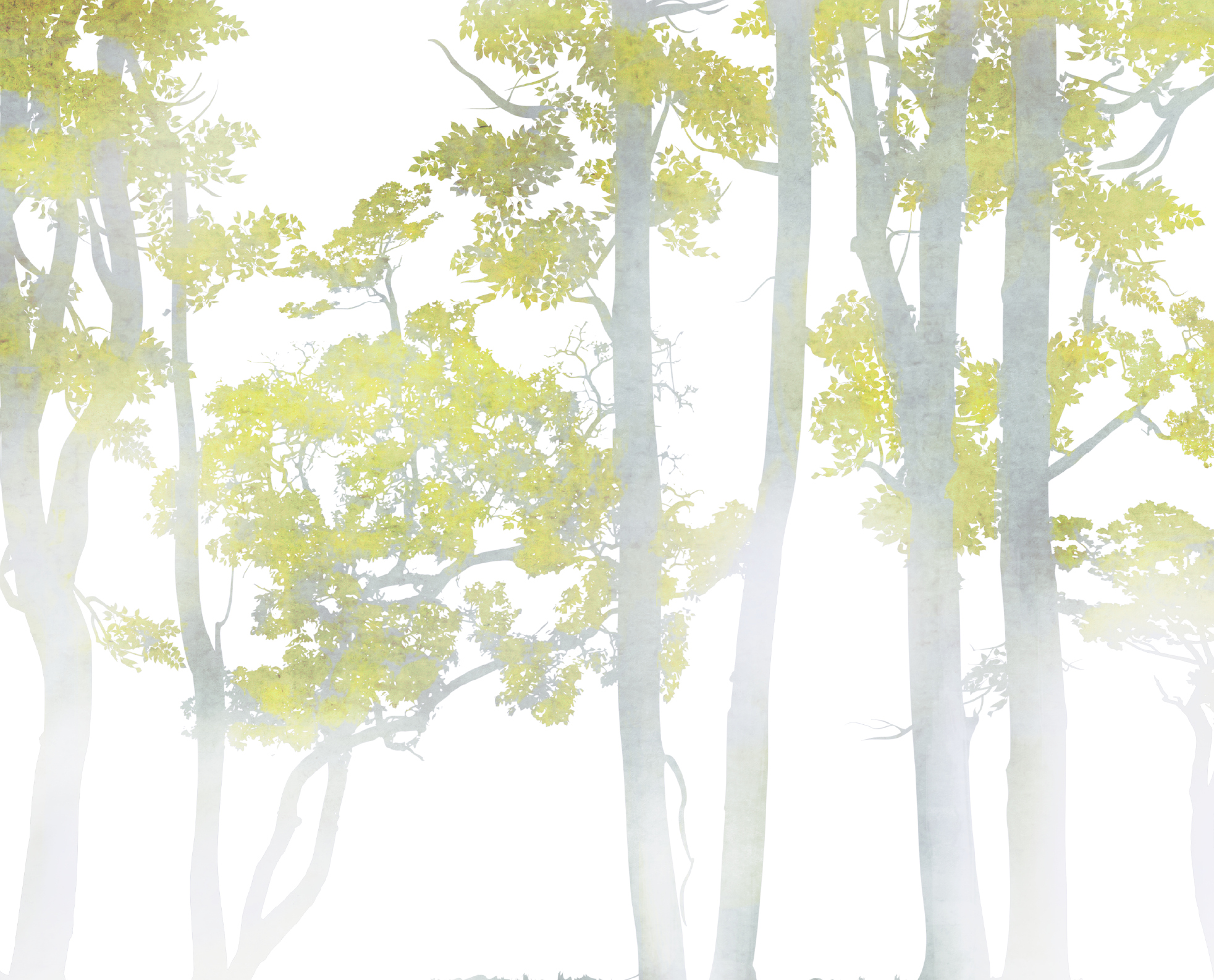 PAPEL MURAL - WALL 15