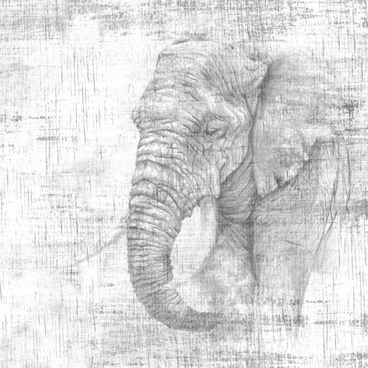 PAPEL MURAL - BIG 01