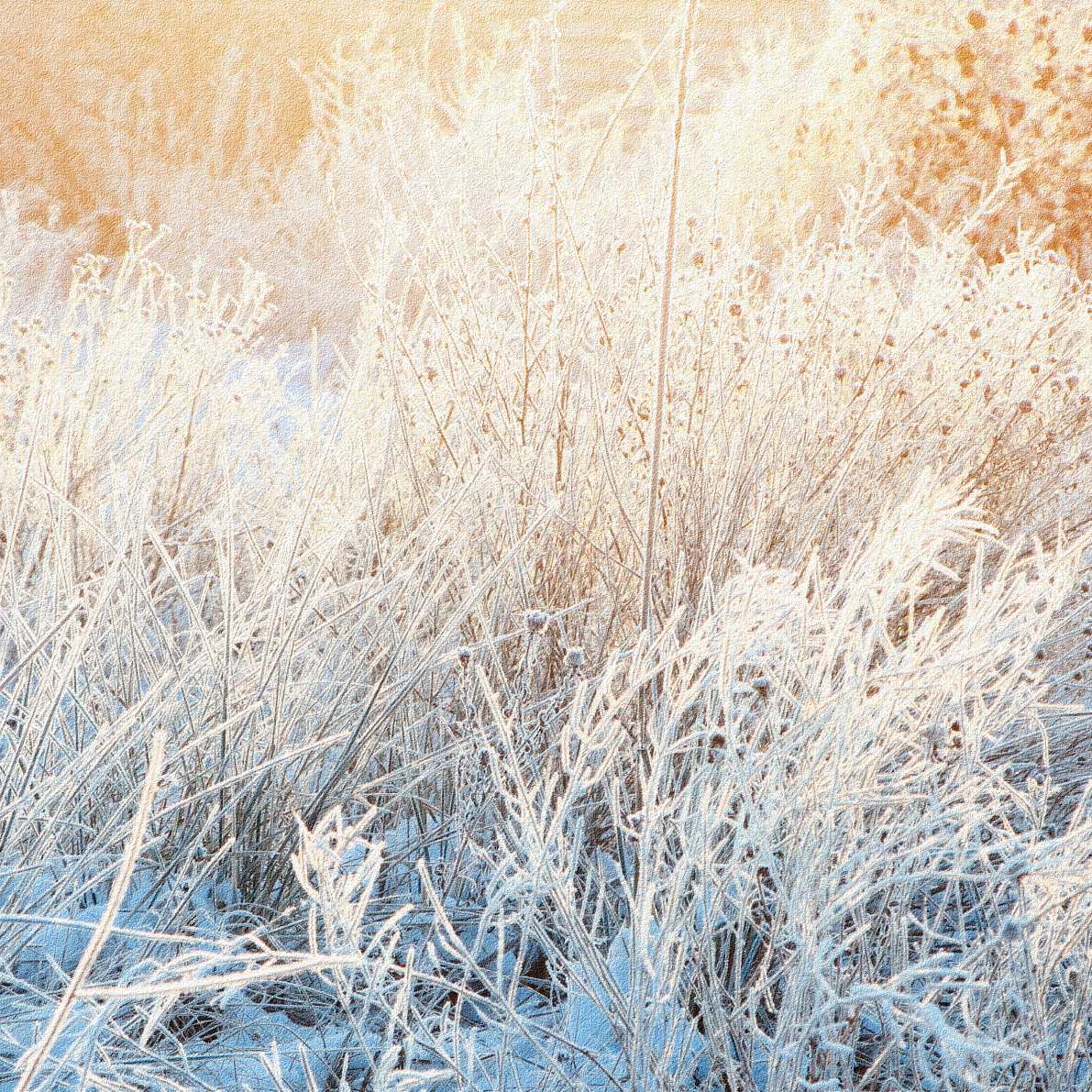 PAPEL MURAL - BIG 07