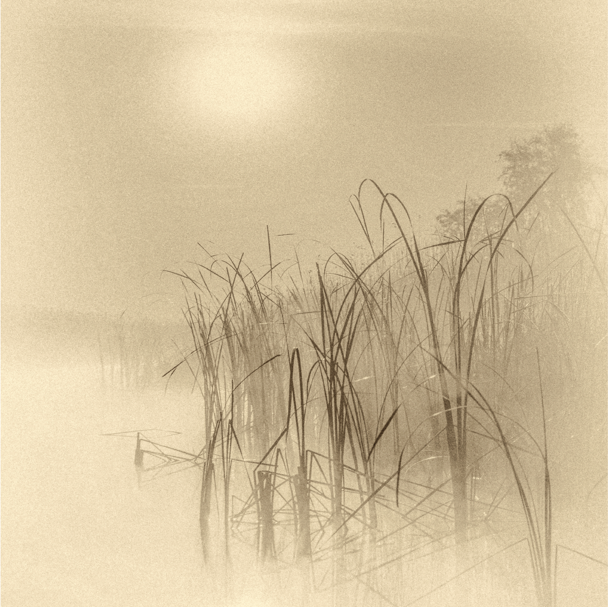 PAPEL MURAL - BIG 08