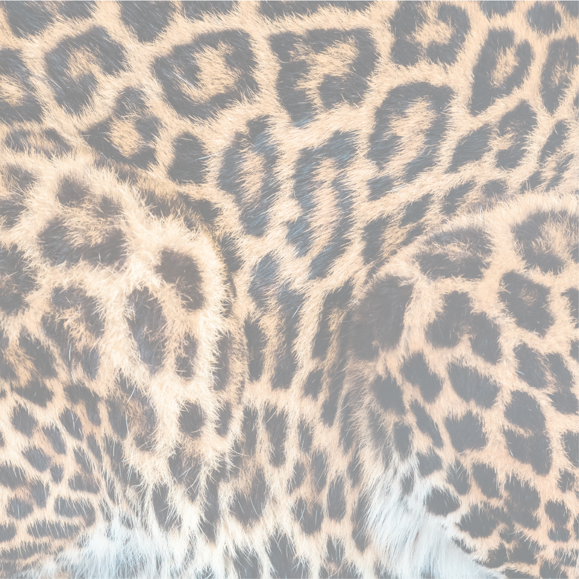 PAPEL MURAL - BIG 25