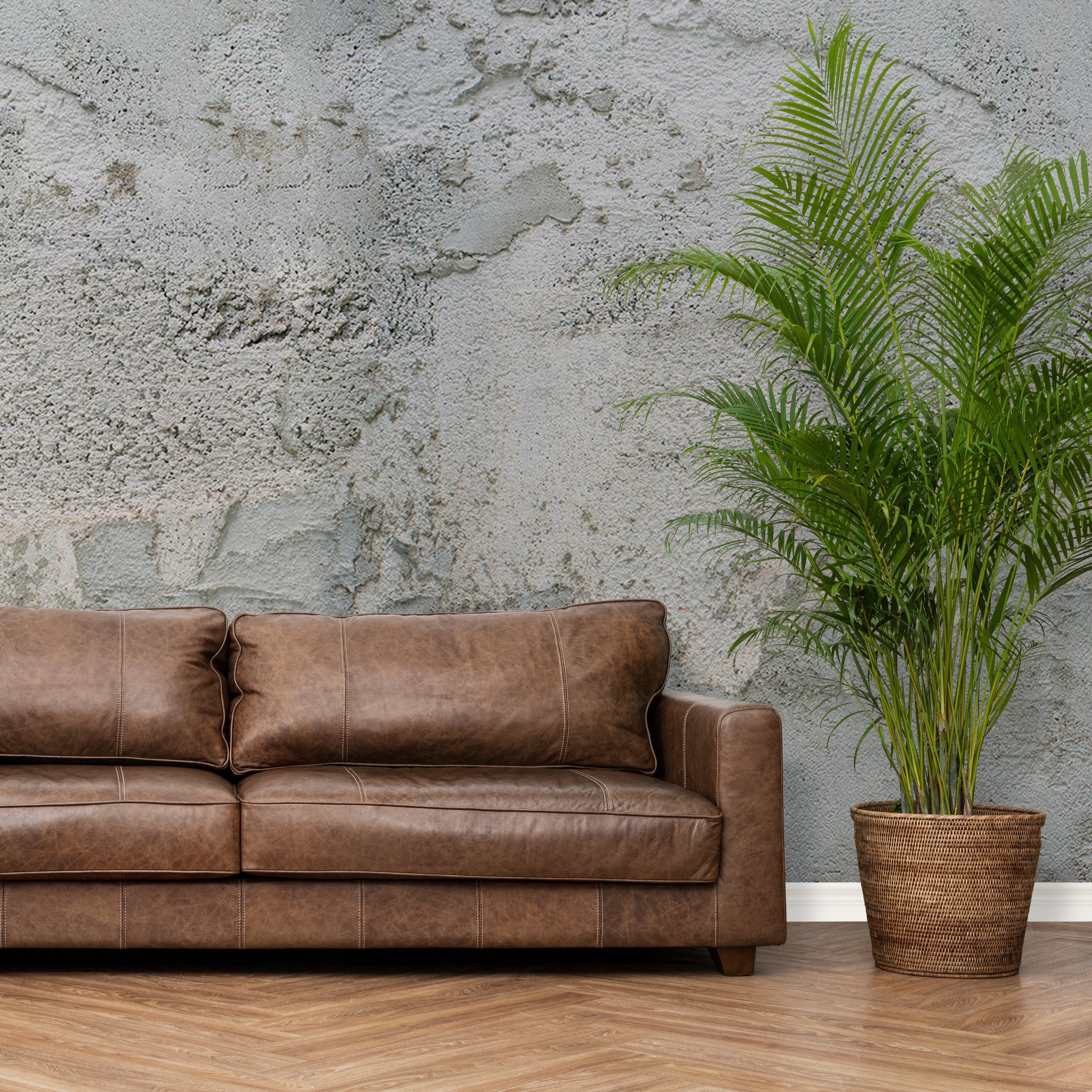 PAPEL MURAL - CONTRACT 24